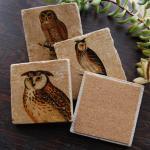 Owl Coasters - Keepers Of The Forest